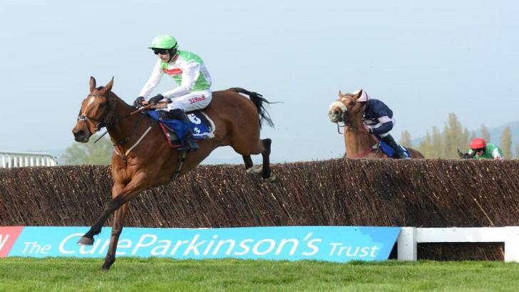 Perfect Candidate in action at Cheltenham